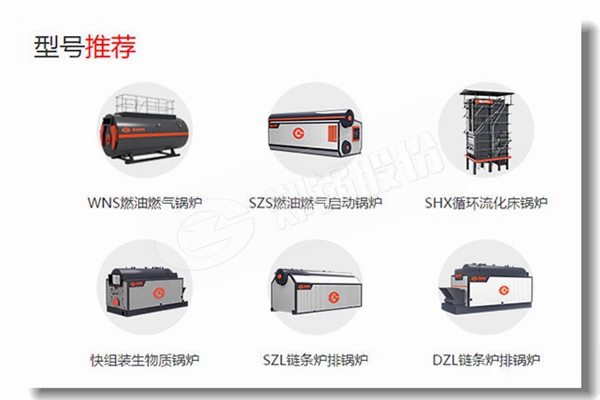 2吨食物工业蒸汽凯发k8国际首页登录