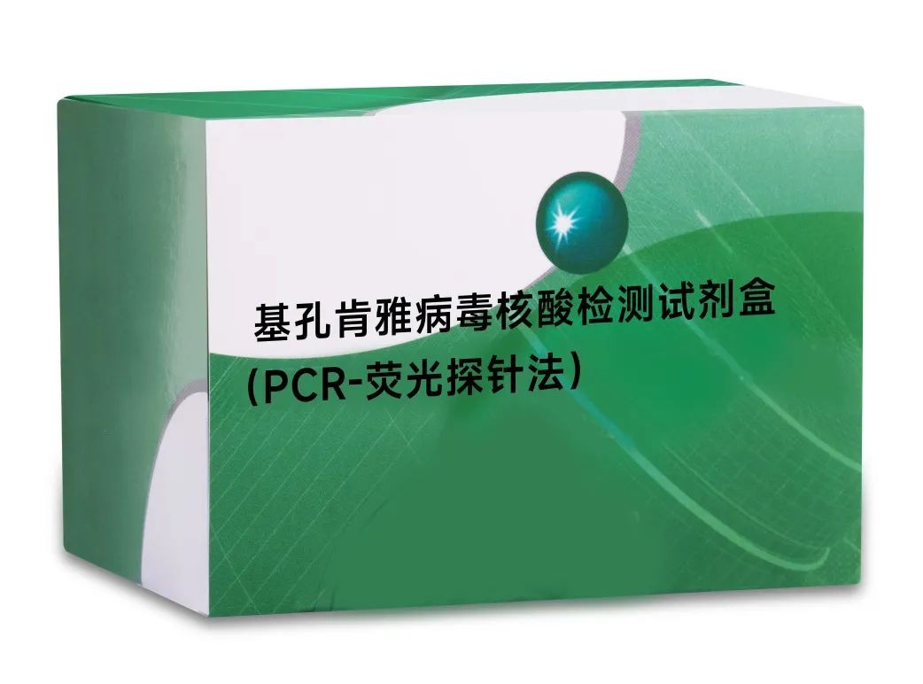 PG电子游戏(中国集团)官方网站